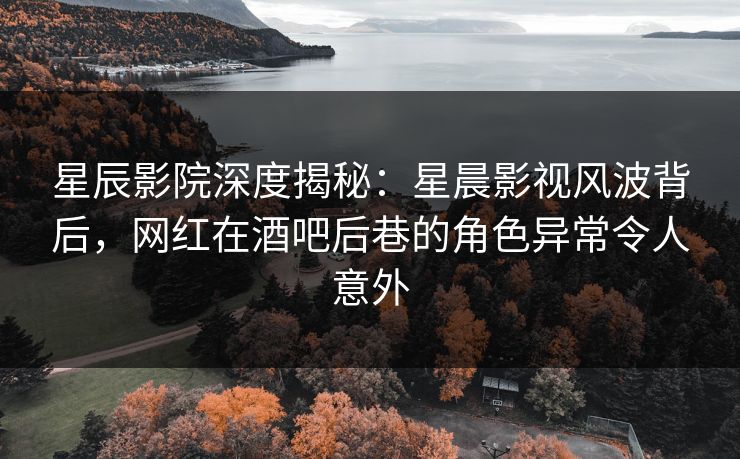 星辰影院深度揭秘：星晨影视风波背后，网红在酒吧后巷的角色异常令人意外