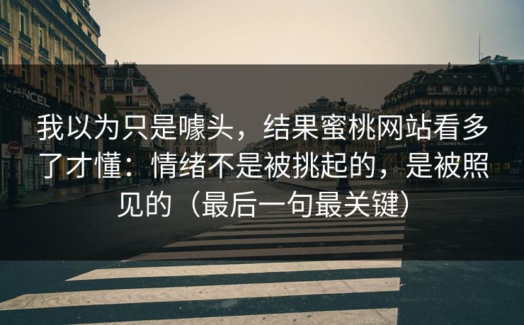我以为只是噱头，结果蜜桃网站看多了才懂：情绪不是被挑起的，是被照见的（最后一句最关键）
